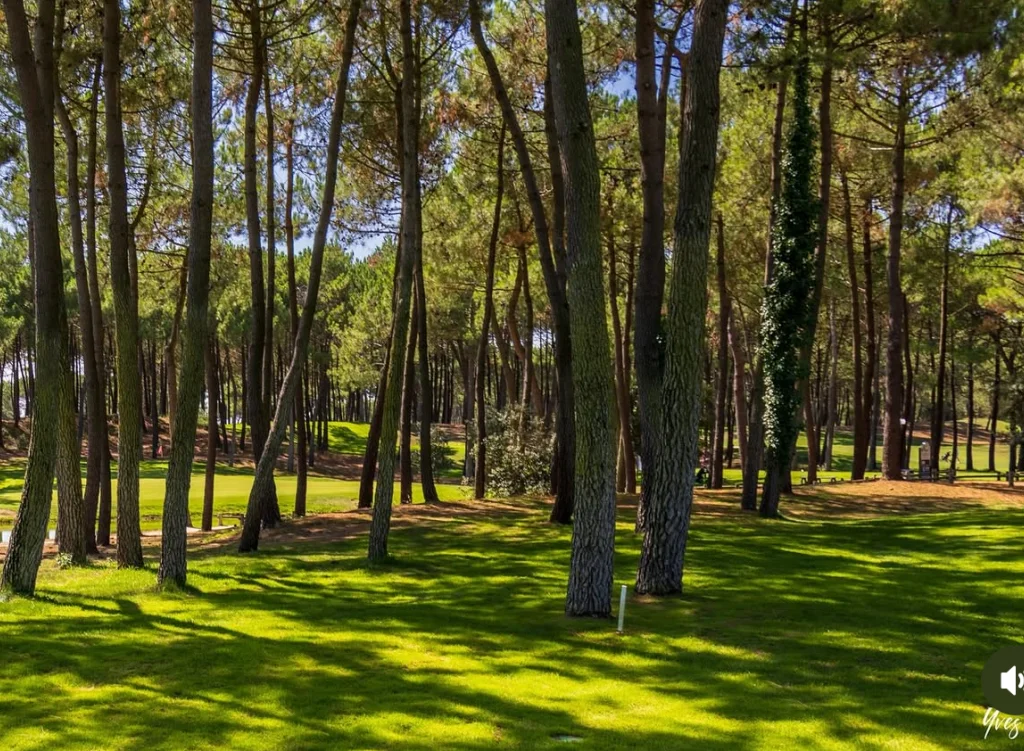 La Palmyre Golf