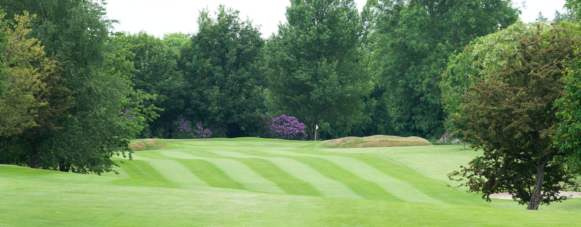 Headfort Golf Club