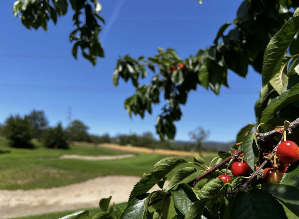 I Ciliegi Golf Club