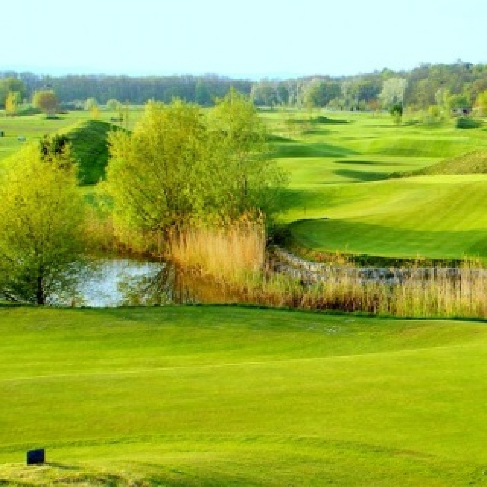 Black & White Golf Resort – Park Course