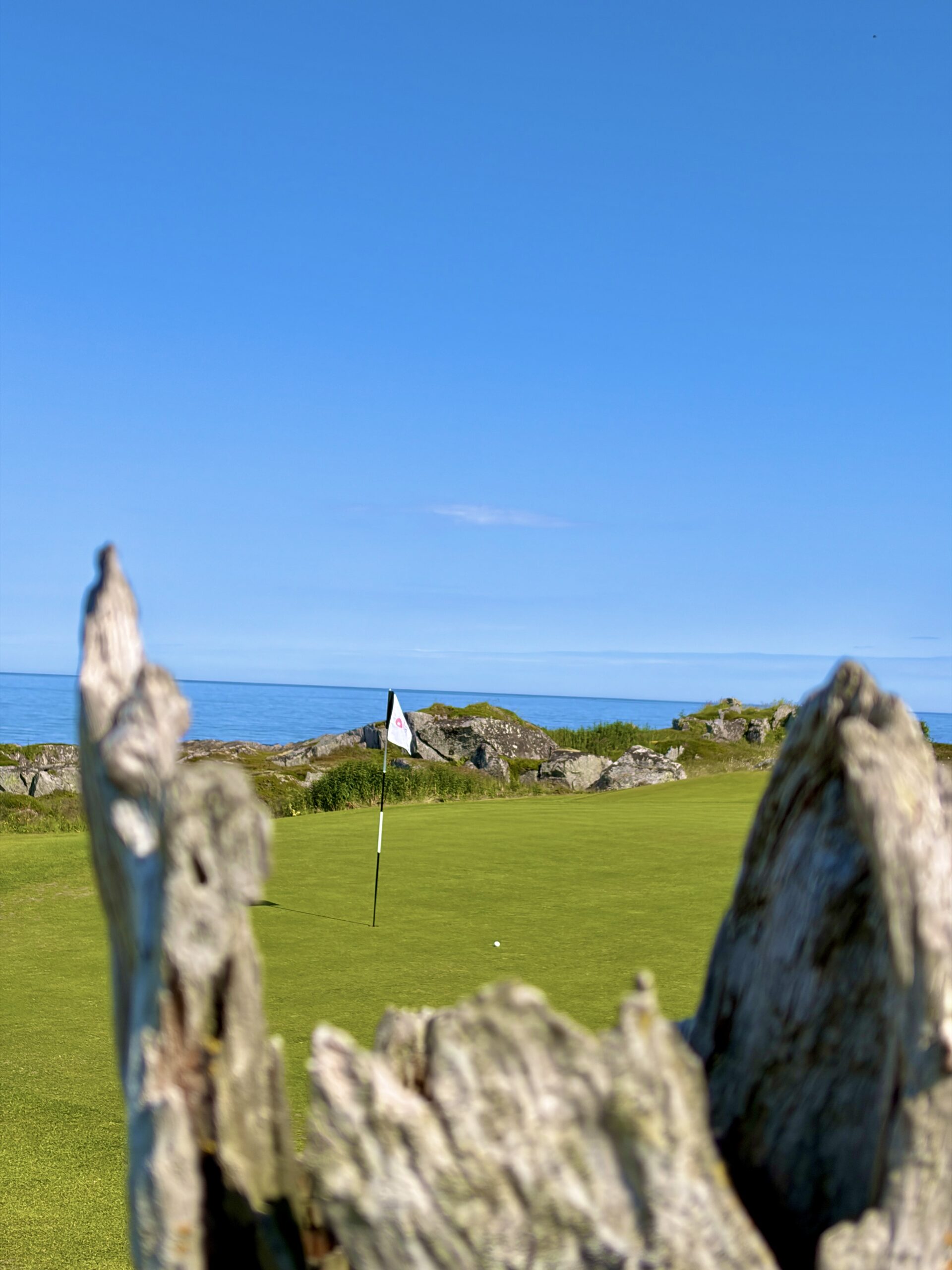 Golfers sharing a 9-hole golf experience